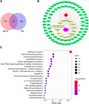 An integrated network analysis, RNA-seq and in vivo validation approaches to explore the protective mechanism of Mongolian medicine formulae Ruda-6 against indomethacin-induced gastric ulcer in rats